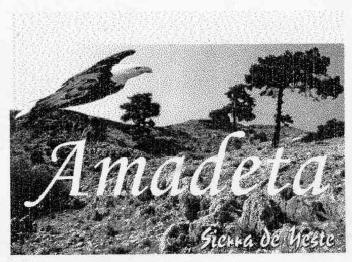 Imagen de AMADETA SIERRA DE YESTE