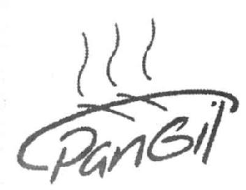 Imagen de PANGIL