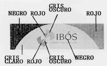 Imagen de IBOS