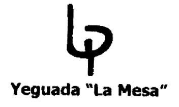 Imagen de YEGUADA 