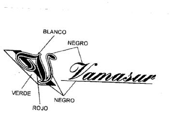 Imagen de V VAMASUR
