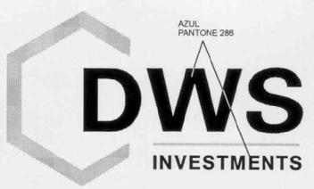 Imagen de DWS INVESTMENTS