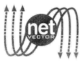 Imagen de NET VECTOR