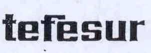 Imagen de TEFESUR