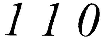 Imagen de 110