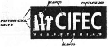 Imagen de CIFEC