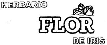 Imagen de HERBARIO FLOR DE IRIS