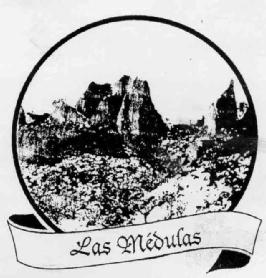 Imagen de LAS MEDULAS