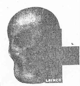 Imagen de LAINCO