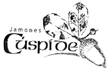 Imagen de JAMONES CUSPIDE