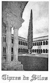 Imagen de CIPRES DE SILOS