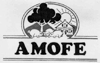 Imagen de AMOFE