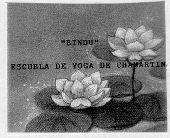 Imagen de 