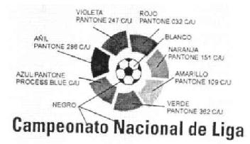 Imagen de CAMPEONATO NACIONAL DE LIGA