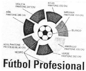 Imagen de FUTBOL PROFESIONAL