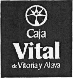 Imagen de CAJA VITAL DE VITORIA Y ALAVA