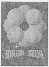 Imagen de BIRGIN SELVA