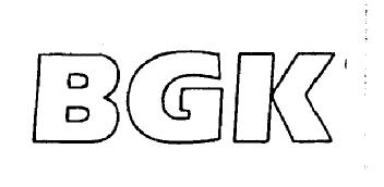 Imagen de BGK