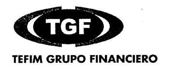 Imagen de TGF TEFIM GRUPO FINANCIERO