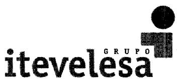 Imagen de GRUPO ITEVELESA
