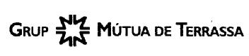 Imagen de GRUP MUTUA DE TERRASSA