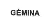 Imagen de GEMINA