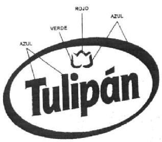 Imagen de TULIPAN