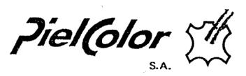 Imagen de PIELCOLOR, S.A