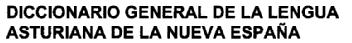 Imagen de DICCIONARIO GENERAL DE LA LENGUA ASTURIANA DE LA NUEVA ESPAÑA
