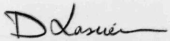 Imagen de D LASUEN