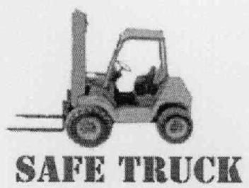 Imagen de SAFE TRUCK