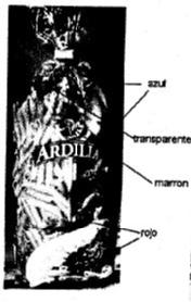 Imagen de ARDILLA