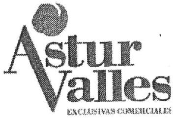 Imagen de ASTUR VALLES EXCLUSIVAS COMERCIALES
