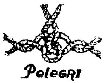Imagen de PELEGRI