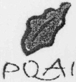 Imagen de PQAI