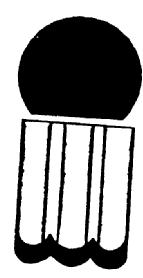 Imagen de M1536902