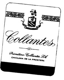 Imagen de COLLANTES