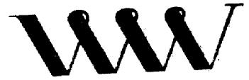 Imagen de VWV