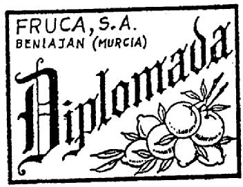 Imagen de DIPLOMADA