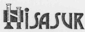 Imagen de HISASUR