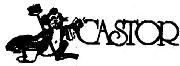 Imagen de CASTOR