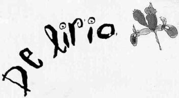 Imagen de DE LIRIO