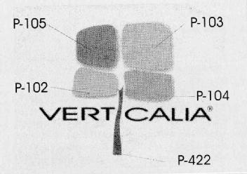 Imagen de VERTICALIA
