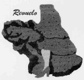 Imagen de REVUELO