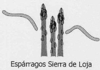 Imagen de ESPARRAGOS SIERRA DE LOJA