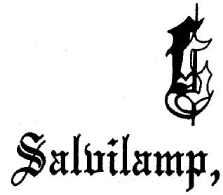 Imagen de S SALVILAMP,