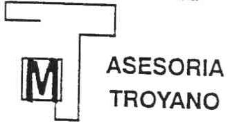 Imagen de MT ASESORIA TROYANO