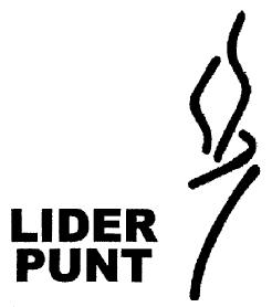 Imagen de LIDER PUNT