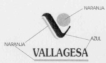 Imagen de V VALLAGESA