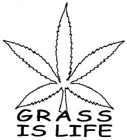 Imagen de GRASS IS LIFE